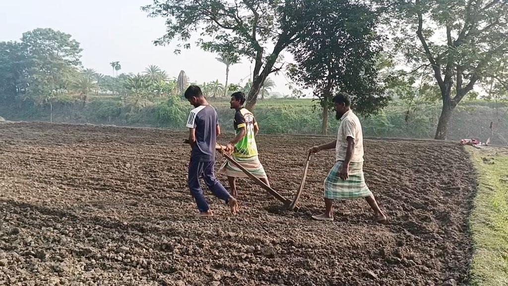 ত্রিশালে অভাবে দুই শিক্ষার্থীর কাঁধে জোয়াল, বন্ধ পড়াশোনা