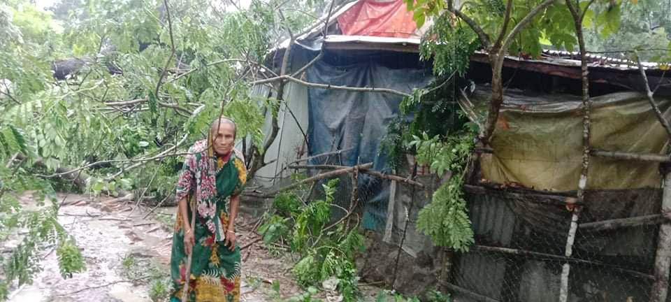 দুমকিতে গাছ পড়ে বসতঘর বিধ্বস্ত, মাথা গোঁজার ঠাঁই নেই বৃদ্ধার