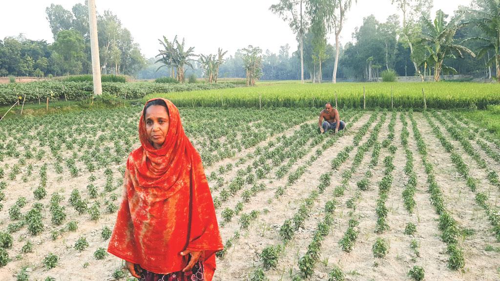 ঔষধি গ্রাম কেত্তারপাড়া