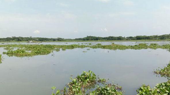 মধুমতীর পানি সহনীয় মাত্রার তিনগুণের বেশি লবণাক্ত