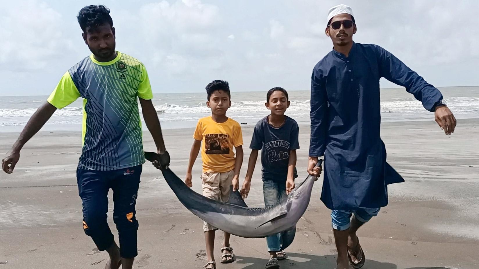 কুয়াকাটা সৈকতে ফের ভেসে এল মৃত ইরাবতী ডলফিন