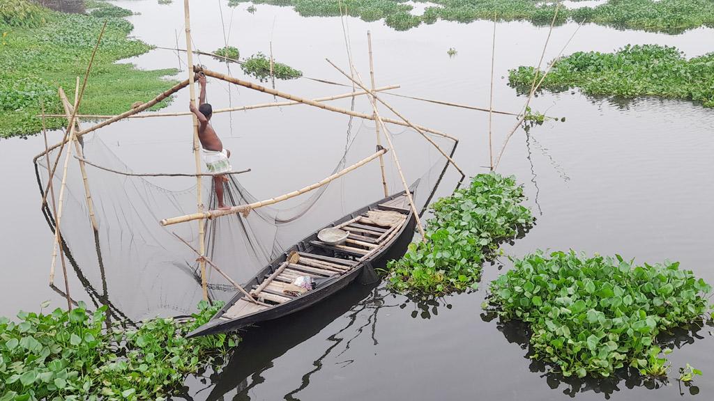 কারখানার বিষে মরছে মাছ, কমছে ফসল