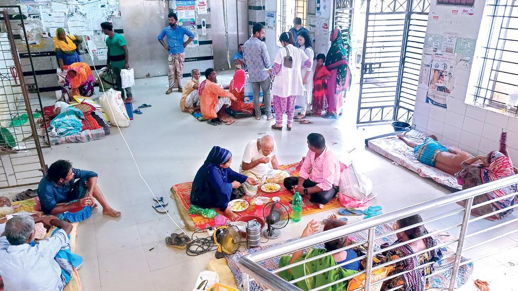 রমেকের মেডিসিন ওয়ার্ডে তেলাপোকা-বিড়ালে অতিষ্ঠ রোগীরা, শৌচাগারও নষ্ট