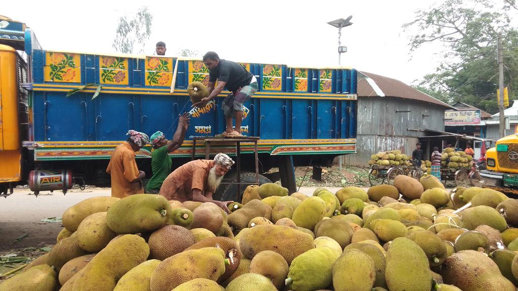 কলার হাটে কাঁঠালের রাজত্ব সপ্তাহে বিক্রি ৩০ লাখ টাকা