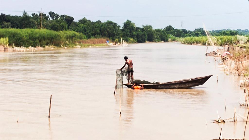 দেশীয় মাছ বিলুপ্তির শঙ্কা চায়না দুয়ারির ফাঁদে