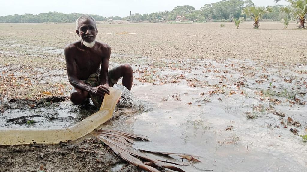 বৃষ্টির অভাবে বাড়ছে না পাটগাছ, দুশ্চিন্তায় চাষি