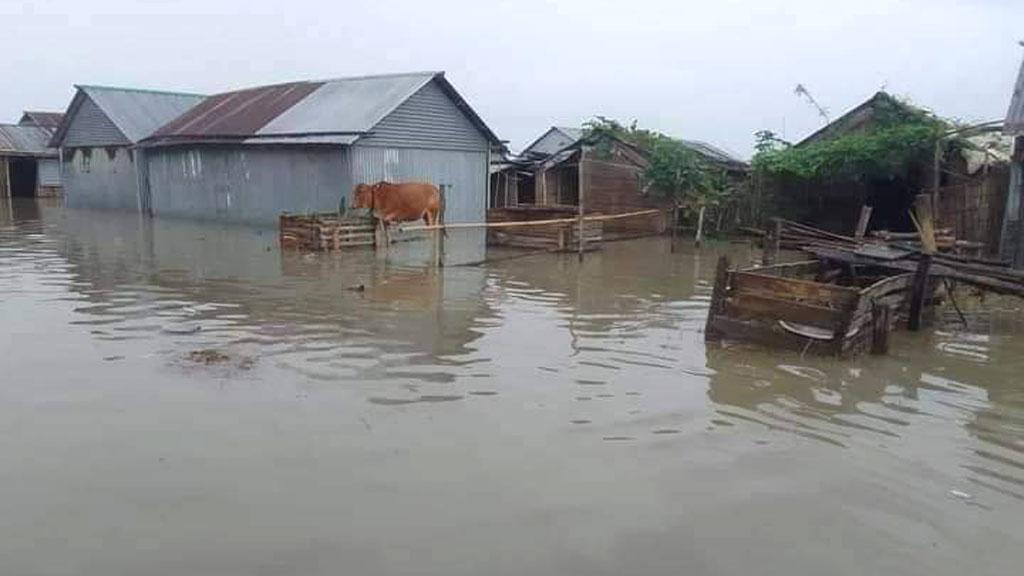 টানা বৃষ্টি ও পাহাড়ি ঢলে গাইবান্ধায় নতুন নতুন এলাকা প্লাবিত 