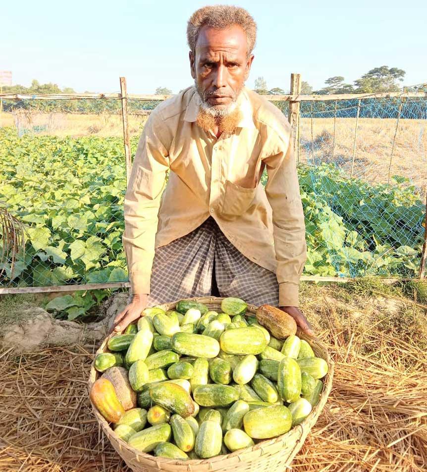 সবজি চাষে স্বাবলম্বী হামিদ