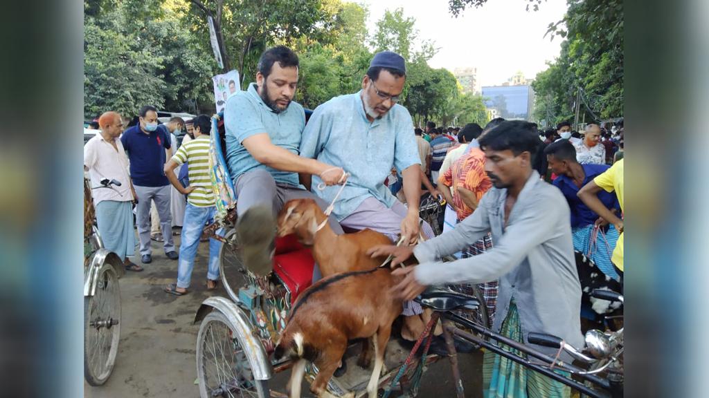 গরু কিনতে এসে ছাগল নিয়ে ফিরছেন ক্রেতারা