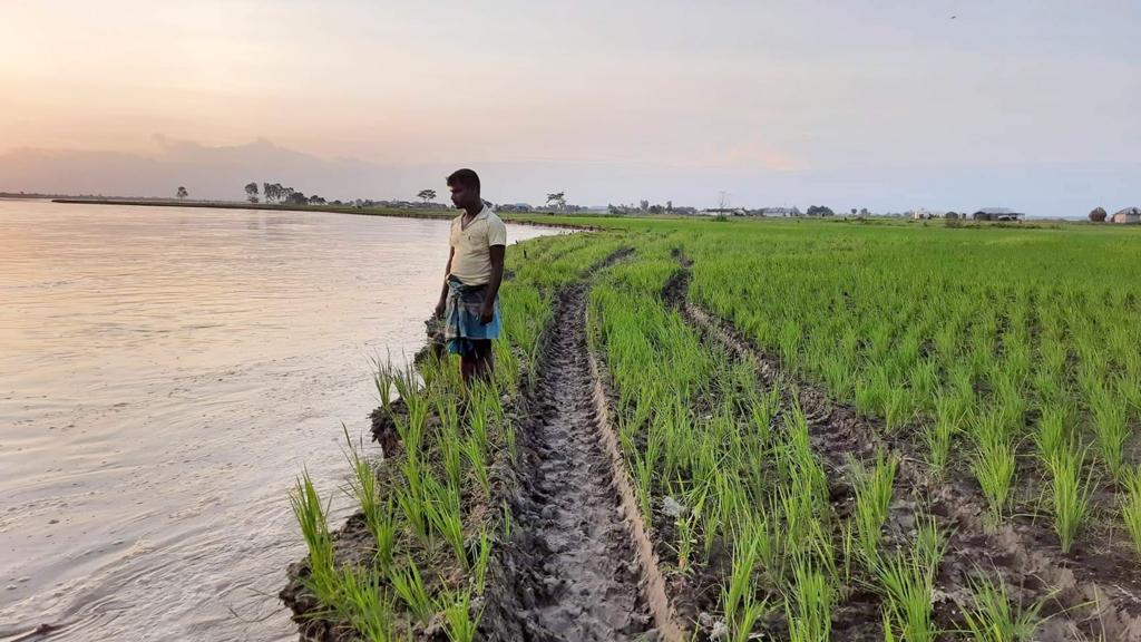 তিস্তা নদীগর্ভে বিলীন ডিমলার শতাধিক গ্রাম