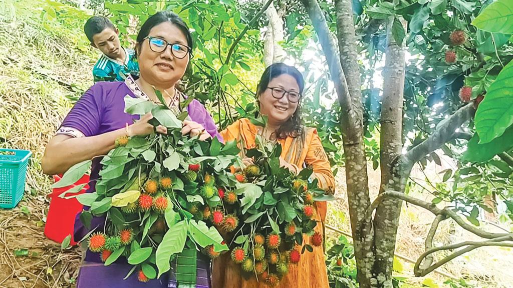 শখে লাগানো গাছে ধরেছে রাম্বুটান