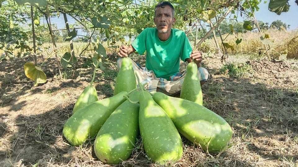 বিশ্বনাথে সবজি চাষে অভাব   ঘুচল কামাল হোসেনের