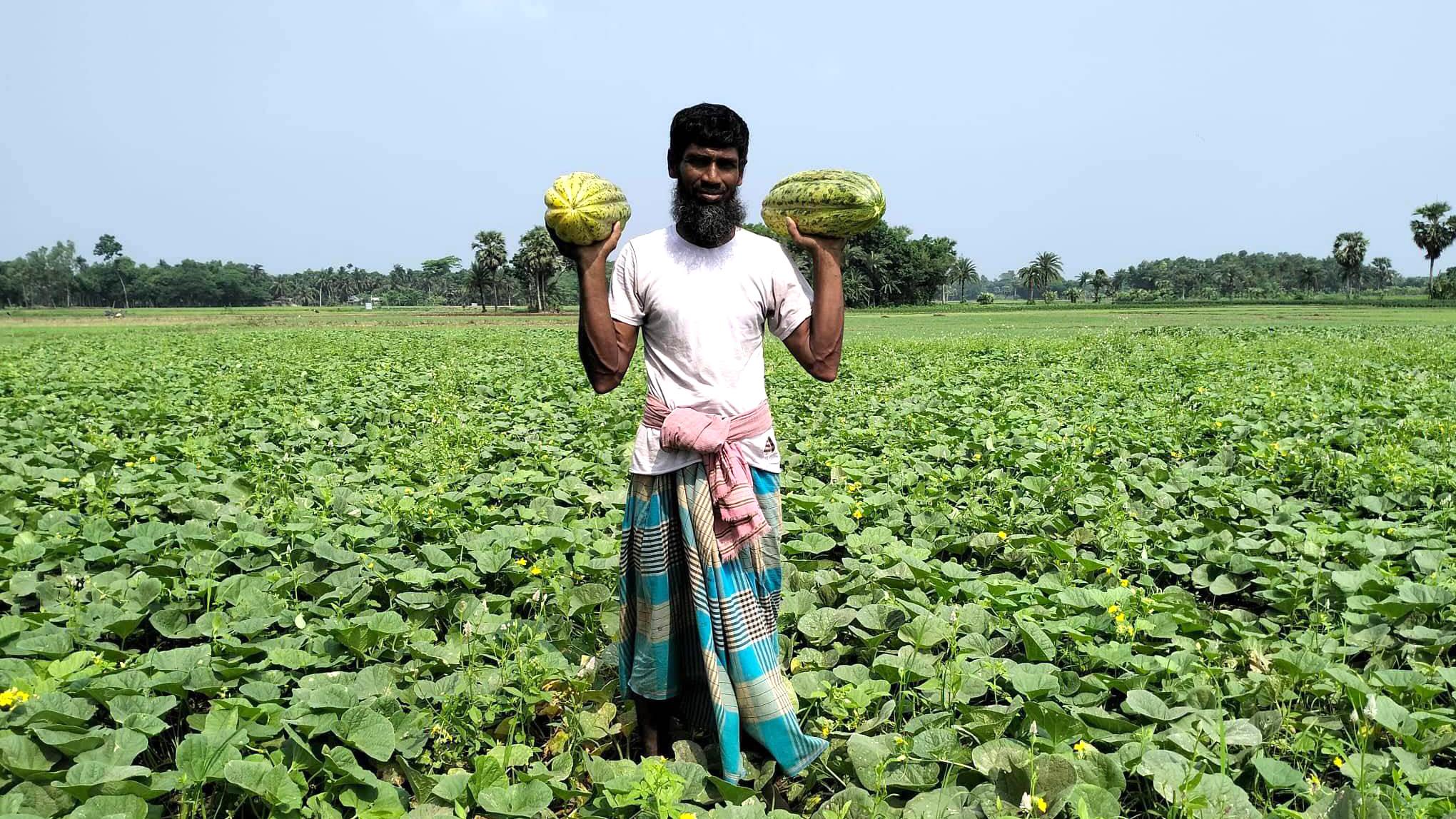 বাঙ্গির ফলনে কৃষকের হাসি