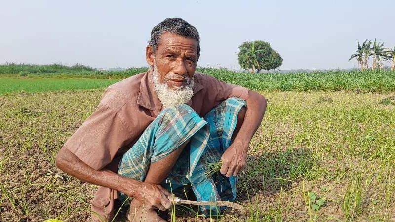 মৃত্যুর আগে স্বীকৃতি চান তালিমুদ্দিন