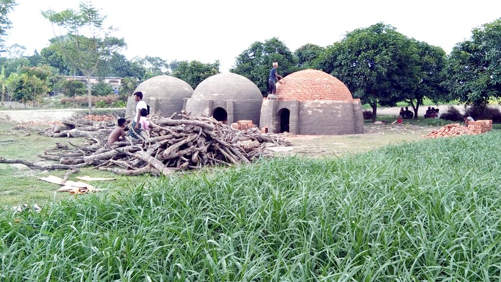 তিন ফসলি জমিতে অবৈধ কয়লা ভাটা, পুড়বে গাছ