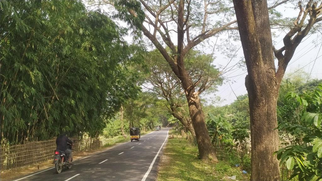 খাগড়াছড়ি-চট্টগ্রাম সড়কের পাশের দুই শতাধিক গাছ সাবাড়