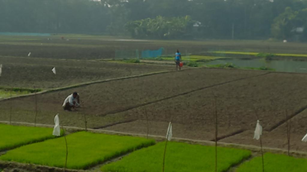 সেচসংকটে হাজীগঞ্জের চাষিরা