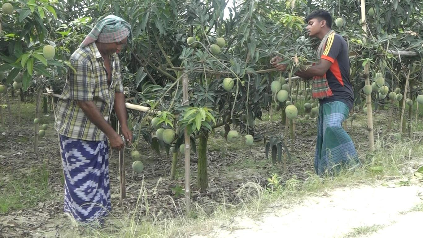 বিক্রি ১৯০০ কোটির আশা