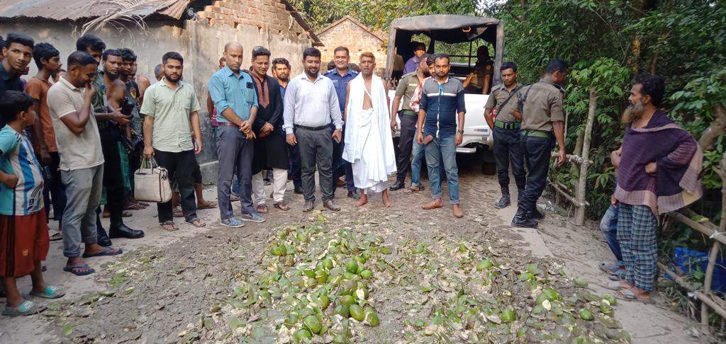 দেবহাটায় অপরিপক্ব আম বিক্রির চেষ্টা, ২ টন জব্দের পর ধ্বংস