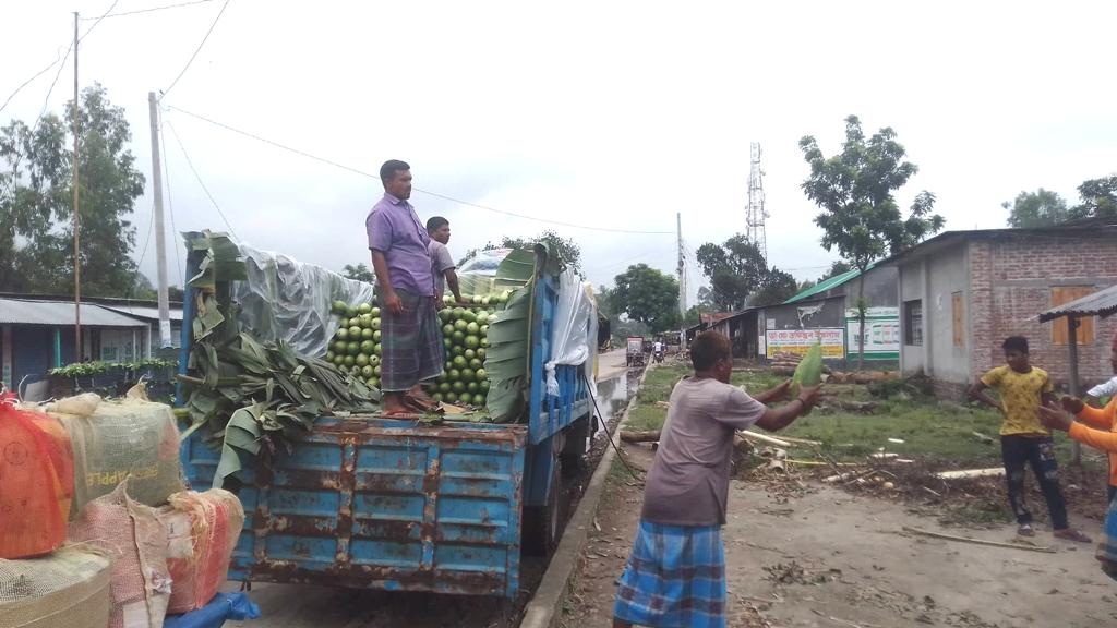 চাহিদা মিটিয়ে পীরগঞ্জের সবজি যাচ্ছে সারা দেশে