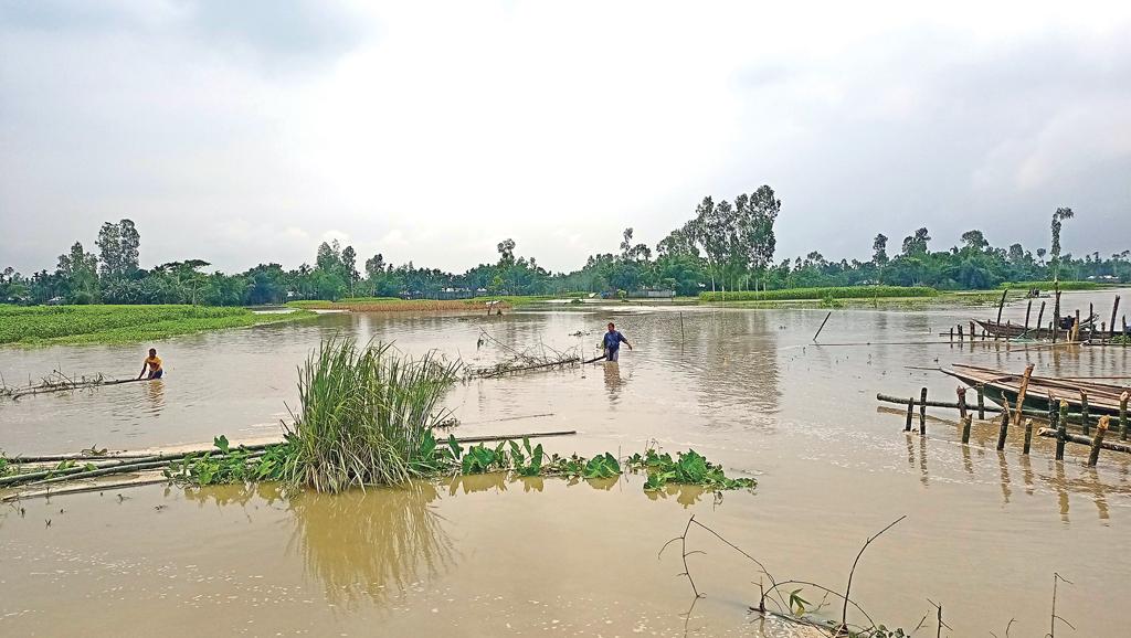 চরে তলিয়েছে ফসল গ্রামে ঢুকছে পানি