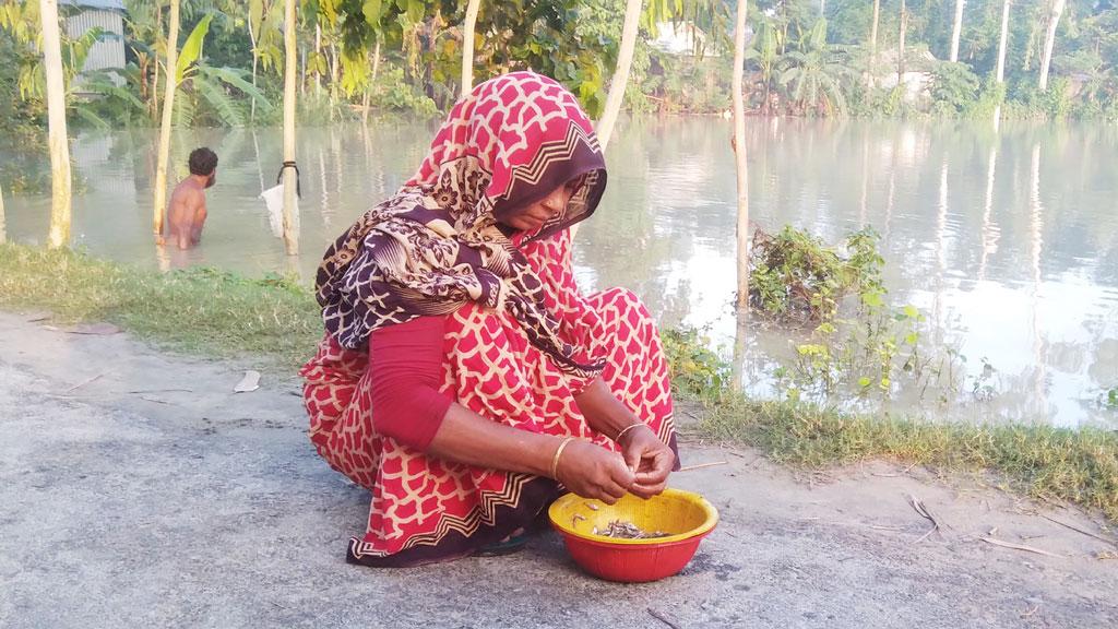 ধরলা নদীর পানি কমলেও কমেনি দুর্ভোগ