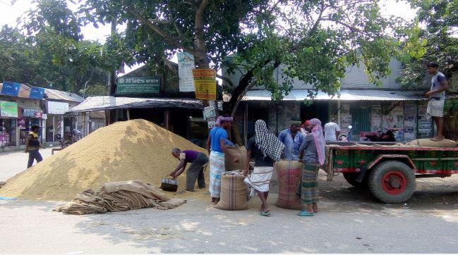 ধান-চাল ক্রয়ের লক্ষ্যমাত্রা নির্ধারণ