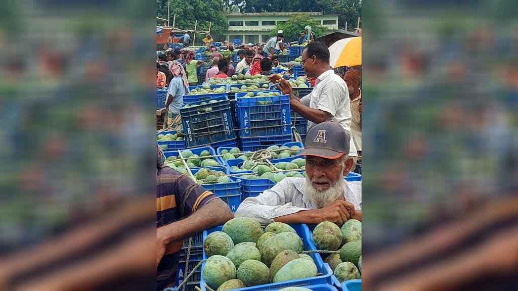 পুঠিয়ায় আম কমলেও বাড়েনি দাম