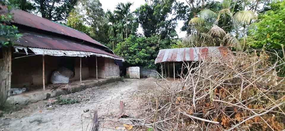 চাচাদের হুমকিতে বই আনতেও বাড়ি যেতে পারছেন না কলেজছাত্রী