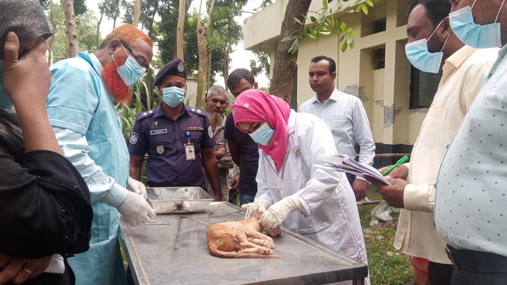 সিরাজদিখানে বিড়ালের ময়নাতদন্ত! 