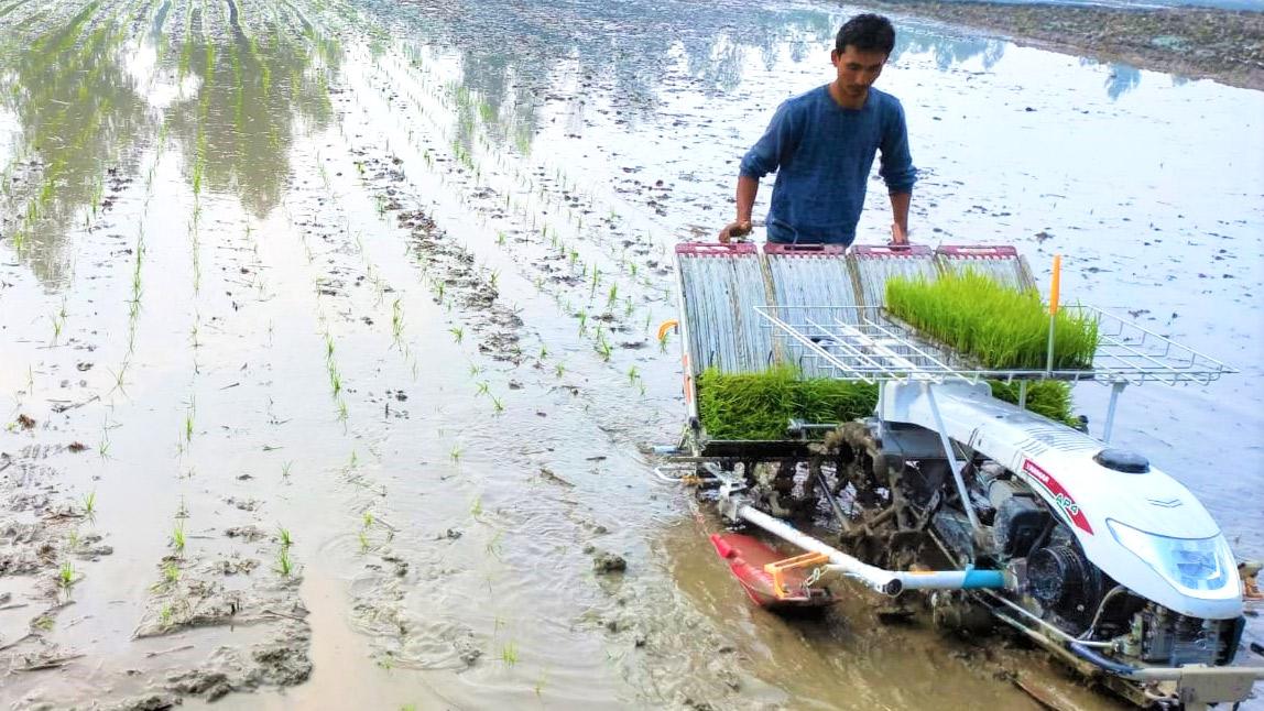 খরচ কমেছে দুই-তৃতীয়াংশ