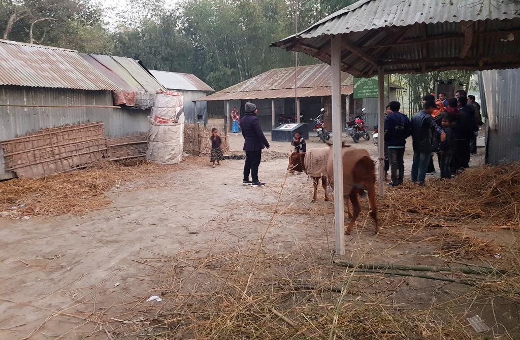 বিদ্যালয়ের মাঠ দখল করে বাড়ি ও গোয়ালঘর নির্মাণের অভিযোগ