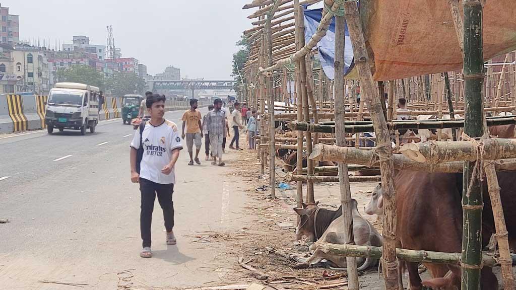 শনির আখড়ায় মহাসড়ক ঘেঁষে পশুর হাট, যানজট ও দুর্ঘটনার শঙ্কা