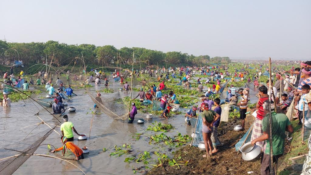 বাউত উৎসবে মাছ ধরতে মানুষের ঢল