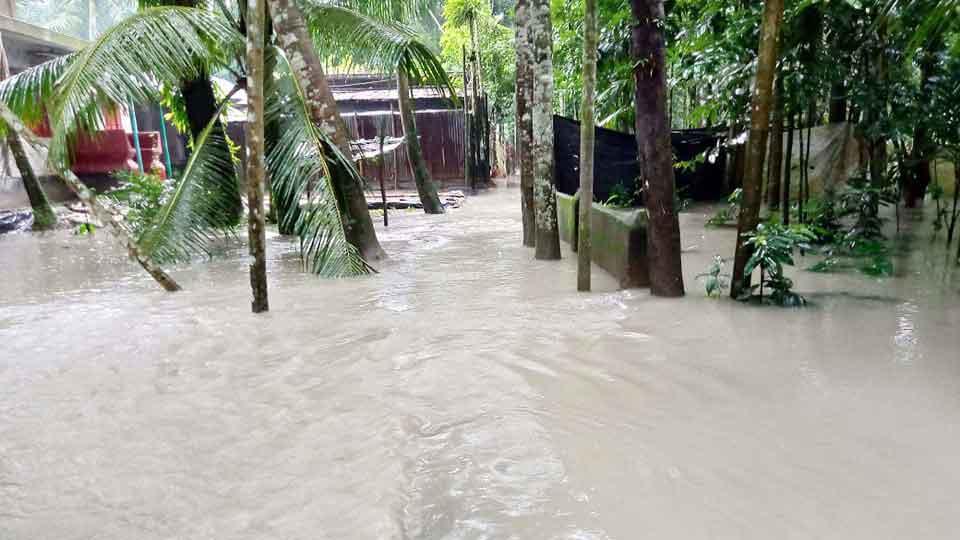 জোয়ারে বাবুগঞ্জের নিম্নাঞ্চল প্লাবিত