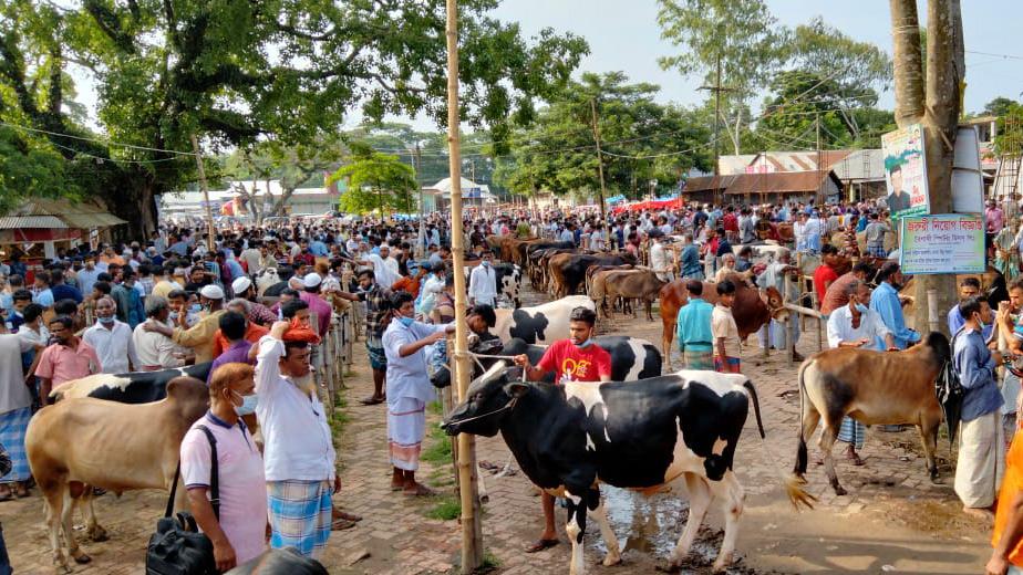 কঠোর লকডাউনের মধ্যে শিবপুরে জমজমাট পশুর হাট!