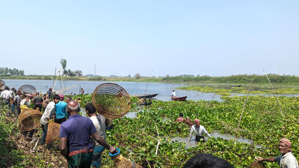 হরিরামপুরে শৌখিন মাছ শিকারিদের পলো বাইচ