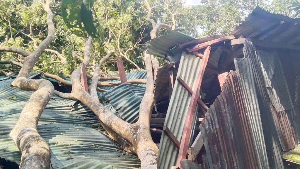 গাছ পইড়া সব শেষ হইয়া গেছে, আমার মায় এহন থাকবে কই? 