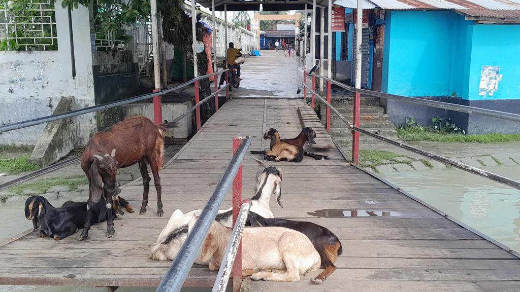 লঞ্চ চলাচল বন্ধ, খরচ বাড়ছে পণ্য পরিবহনে