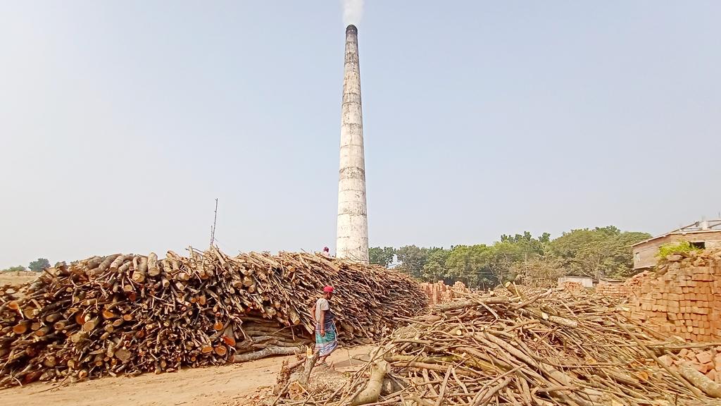 অবৈধ ভাটায় পুড়ছে কাঠ