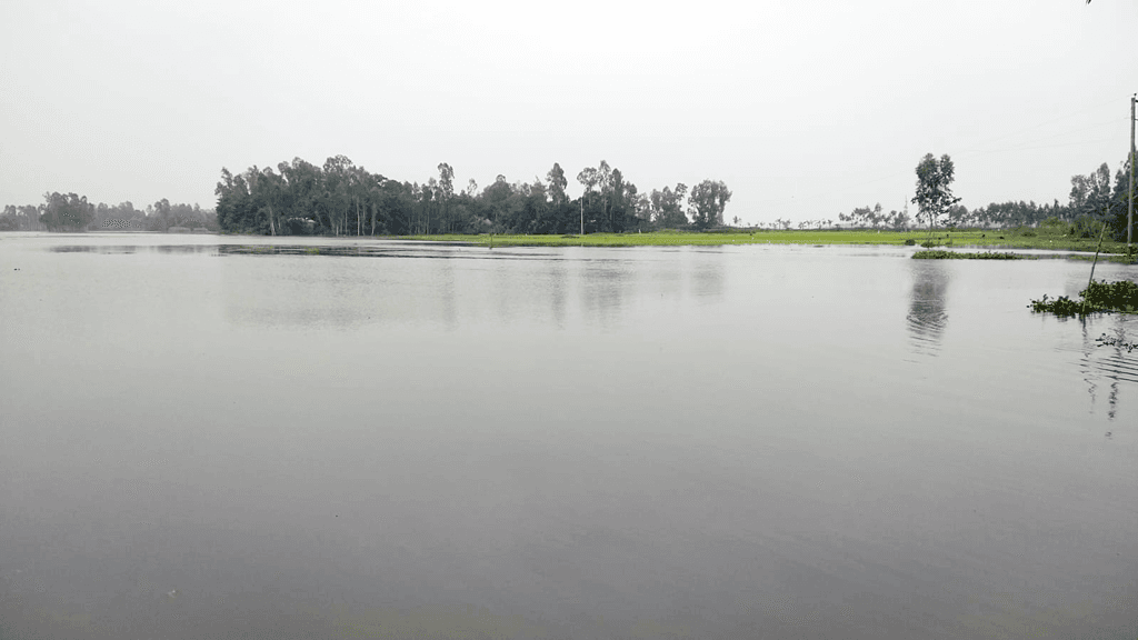 ঢল-বর্ষণে ব্রহ্মপুত্রের পানি বৃদ্ধি, তলিয়েছে ১৯২ হেক্টর ফসলি জমি 