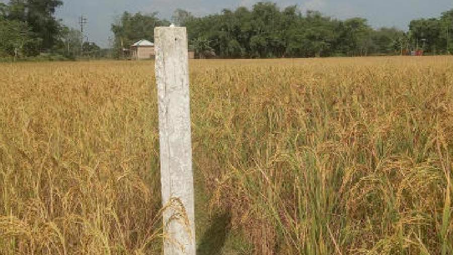 বাংলাদেশ-ভারত সীমান্তের বেড়াহীন অংশে পিলার স্থাপন করছে পশ্চিমবঙ্গ