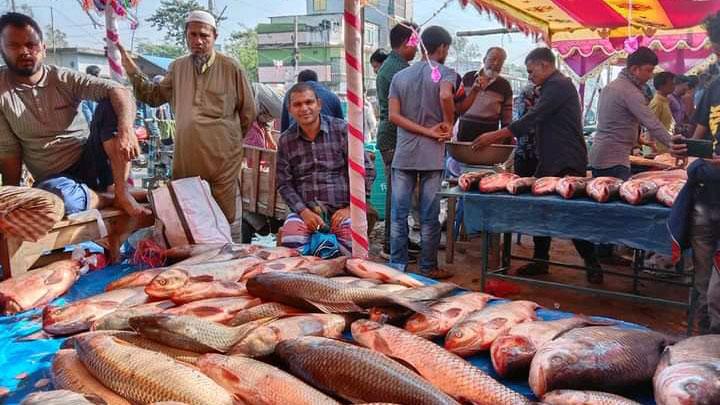 কালাইয়ে নবান্ন উৎসব উপলক্ষে মাছের মেলা