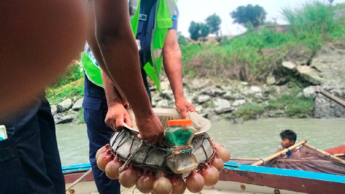 হালদায় ৩০ হাজার চিংড়ি রেণু জব্দ