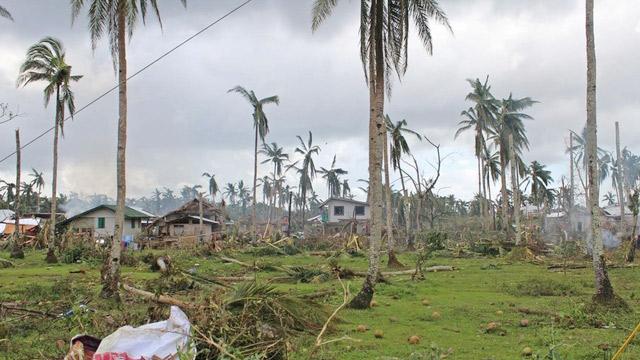 ফিলিপাইনে গ্রীষ্মমণ্ডলীয় ঝড় মেগির তাণ্ডবে নিহত ২৫ 