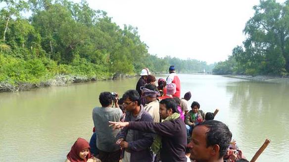 শরণখোলার লোকালয়ে আবারও বাঘ, আতঙ্কে স্থানীয়রা