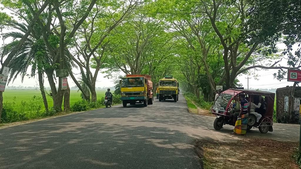 মাগুরায় ৩ জন নিহতের ঘটনায় মামলা, শনাক্ত হয়নি চাপা দেওয়া গাড়িটি