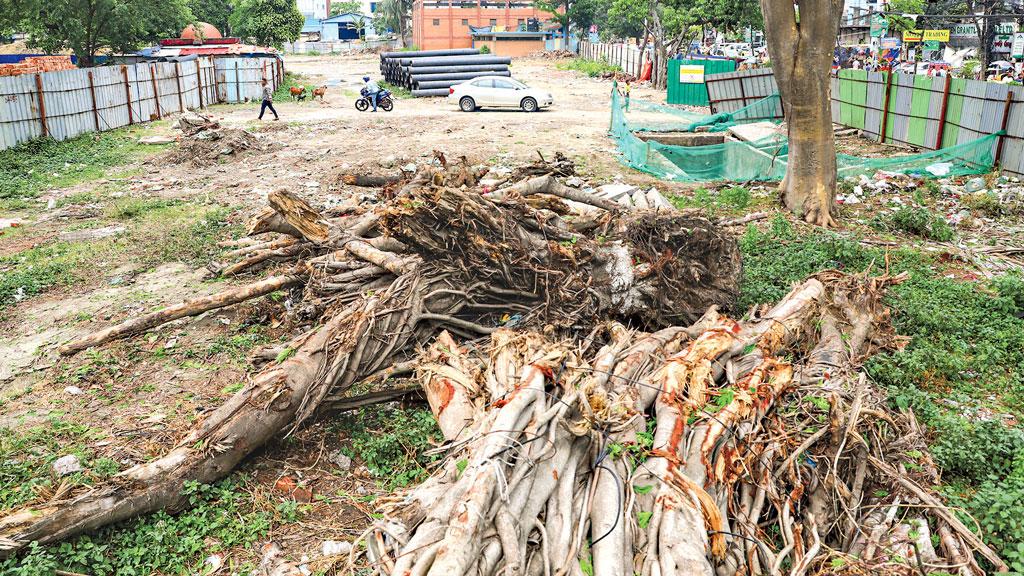 বৃক্ষ বাঁচলে চট্টগ্রাম বাঁচবে