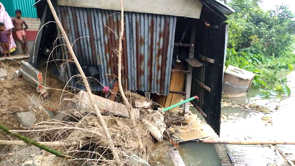 মেঘনার ভাঙনে বিলীন হচ্ছে ব্রাহ্মণবাড়িয়ার চরসোনারামপুর গ্রাম