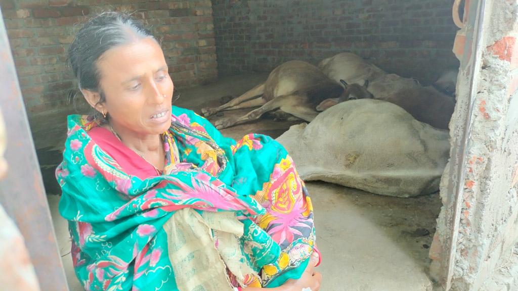 ‘পল্লী বিদ্যুৎ অফিসের কারণে মোর গোয়াল খালি হইল’